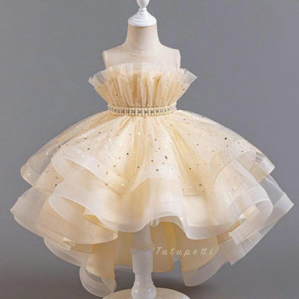 High-End Sparkly Mermaid Princess Dress