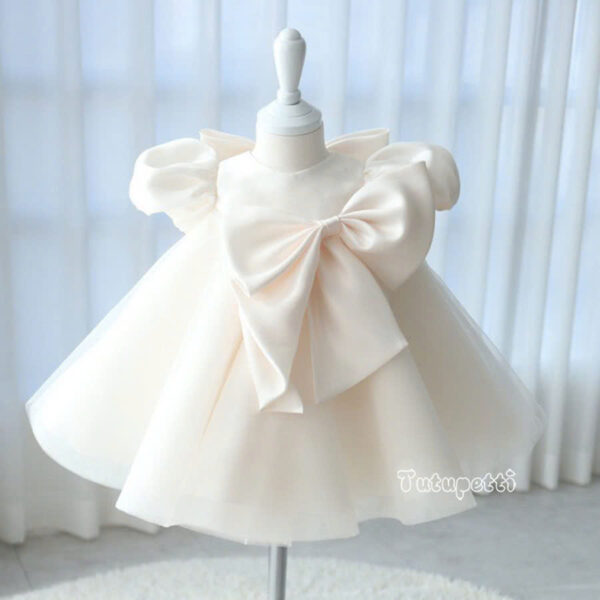 Alida Princess Dress - Image 5