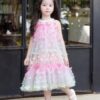 Pink Butterfly Princess Dress